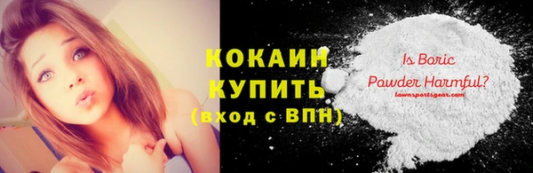 шишки Бронницы