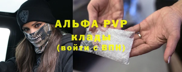MESCALINE Бородино