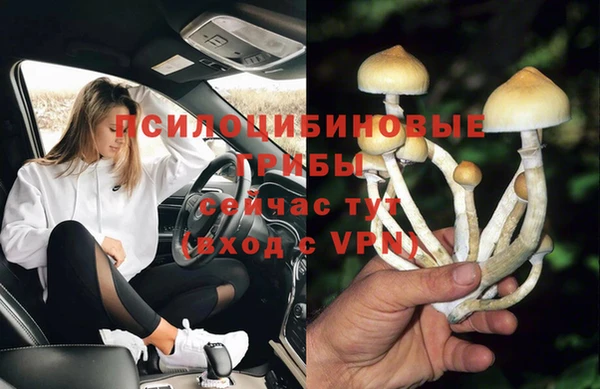 каннабис Богородицк
