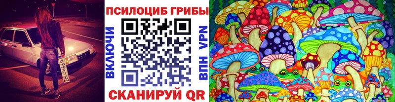 хочу наркоту  Малая Вишера  Псилоцибиновые грибы мицелий 